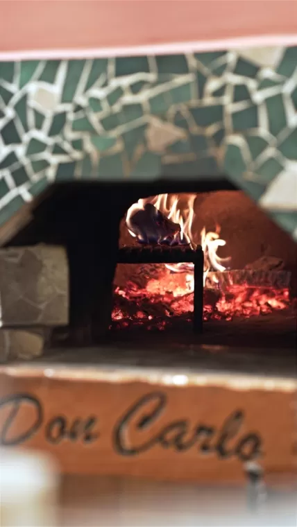 Four au feu de bois